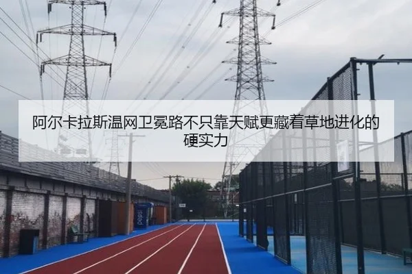 阿尔卡拉斯温网卫冕路不只靠天赋更藏着草地进化的硬实力